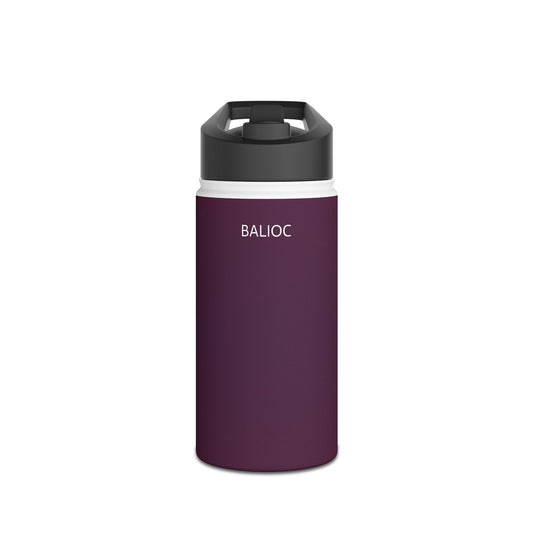 Vaya Stainless Steel Bottle